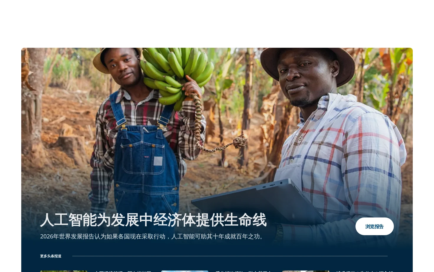 世界银行集团 页面快照